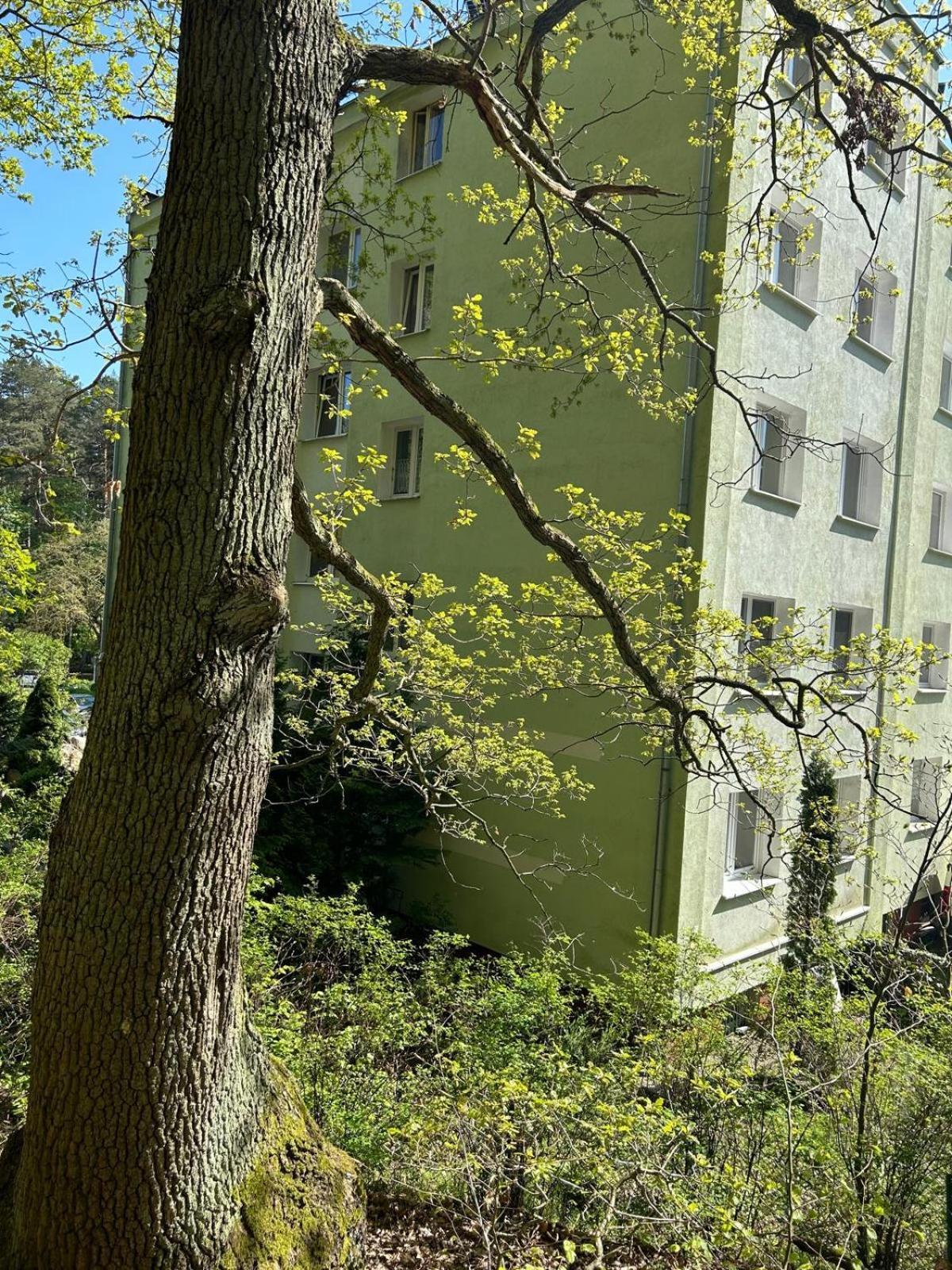 Apartament Przylesie Sopot Eksteriør bilde
